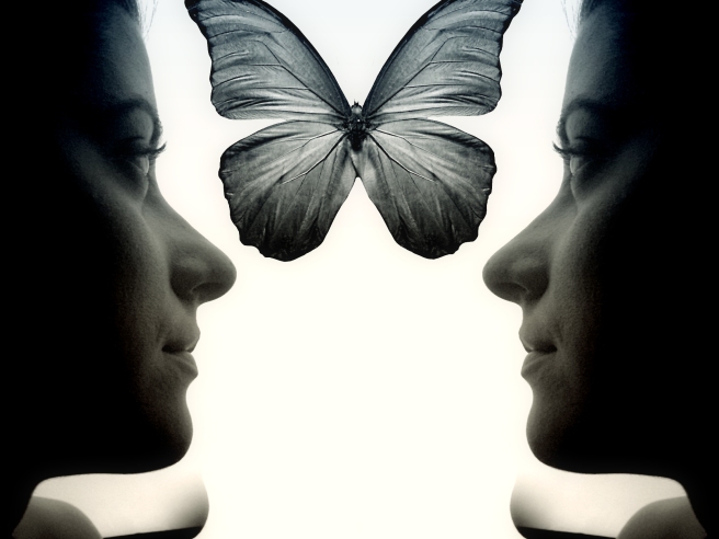 mirror_butterfly.jpg