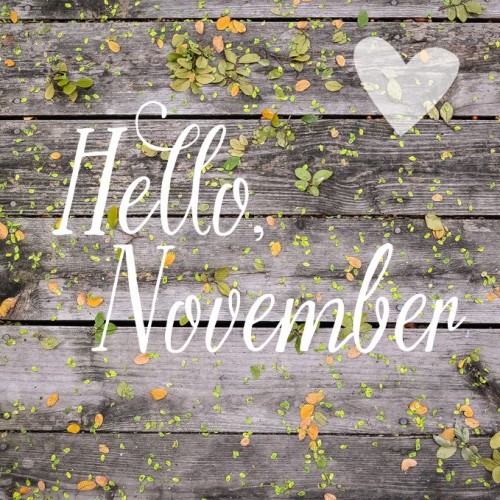 Hello-November